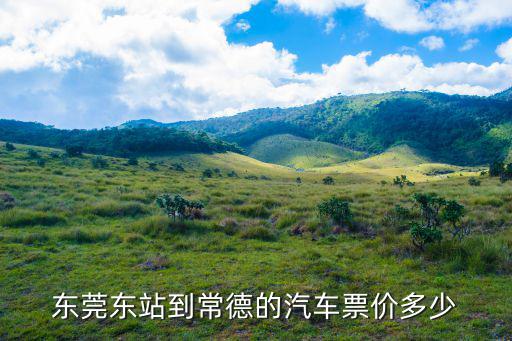 東莞東站到常德的汽車票價多少