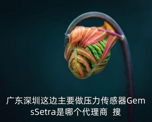 廣東深圳這邊主要做壓力傳感器GemsSetra是哪個代理商  搜