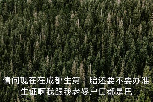 請問現(xiàn)在在成都生第一胎還要不要辦準生證啊我跟我老婆戶口都是巴