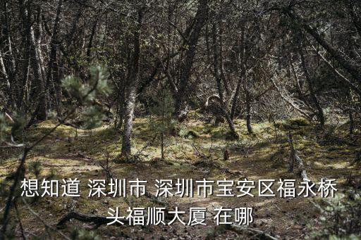 想知道 深圳市 深圳市寶安區福永橋頭福順大廈 在哪