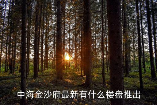 中海金沙府最新有什么樓盤推出