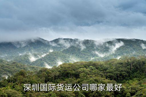 深圳天時國際貨運代理有限公司，T3ex thi是深圳哪個貨代公司