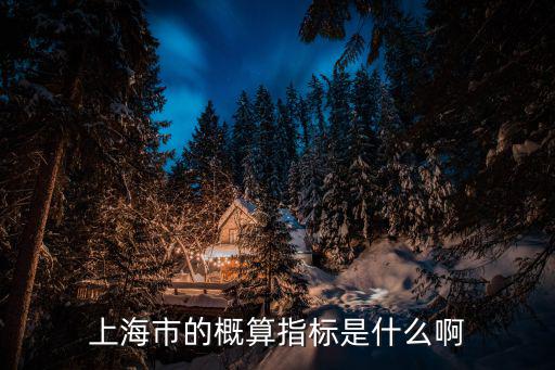 上海市科技指標，上海市的概算指標是什么啊