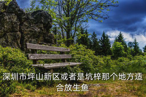 深圳市坪山新區或者是坑梓那個地方適合放生魚