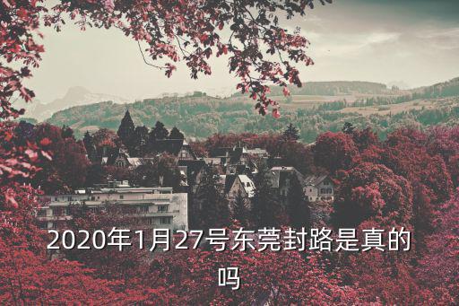 2020年1月27號東莞封路是真的嗎