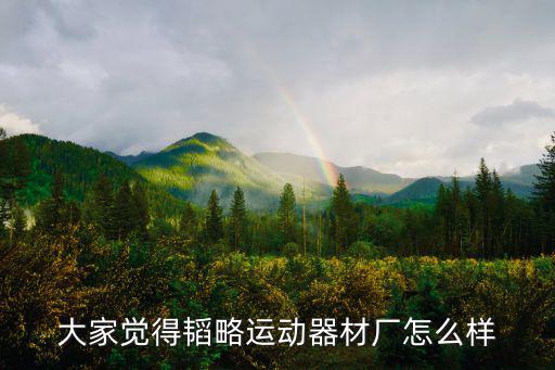 大家覺得韜略運動器材廠怎么樣