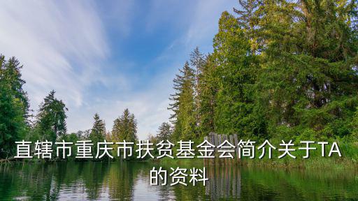 重慶市審計(jì)局 扶貧，直轄市重慶市扶貧基金會(huì)簡(jiǎn)介關(guān)于TA的資料