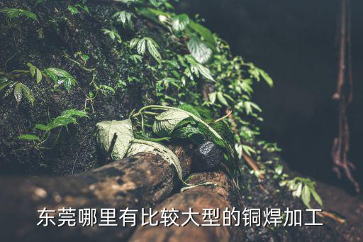 東莞哪里有比較大型的銅焊加工