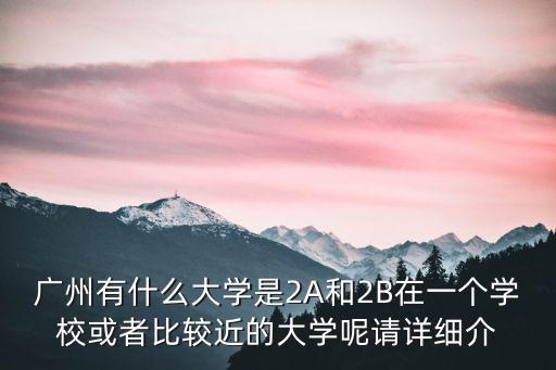 廣州白云學院是2a，廣東省內(nèi)本科的大學有那一些2A以上的