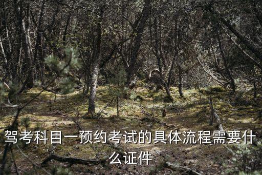 駕考科目一預(yù)約考試的具體流程需要什么證件
