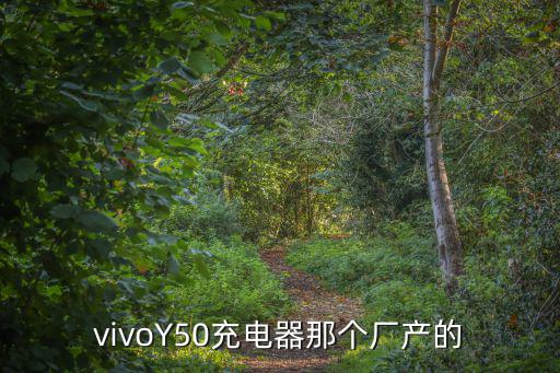 vivoY50充電器那個(gè)廠(chǎng)產(chǎn)的