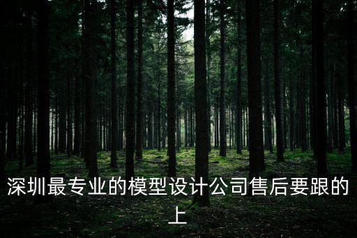 深圳最專業(yè)的模型設(shè)計(jì)公司售后要跟的上