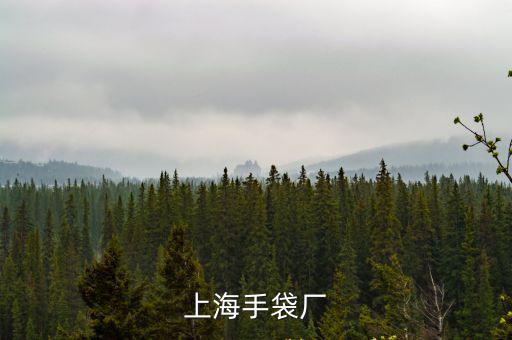 上海手袋廠