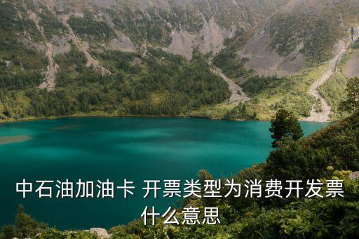 中石油加油卡 開票類型為消費開發(fā)票 什么意思