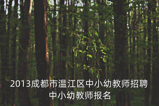 成都市區(qū)幼兒園老師招聘信息，2013成都市成華區(qū)中小幼教師招聘資料招聘地址