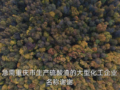 急需重慶市生產(chǎn)硫酸渣的大型化工企業(yè)名稱(chēng)謝謝