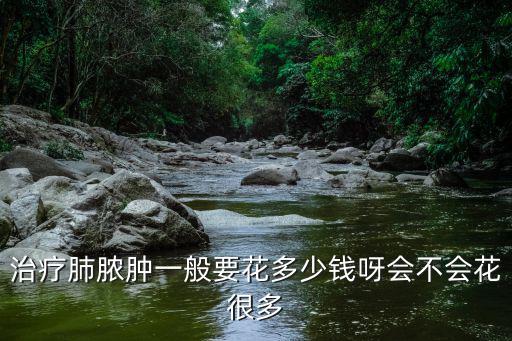 治療肺膿腫一般要花多少錢呀會不會花很多