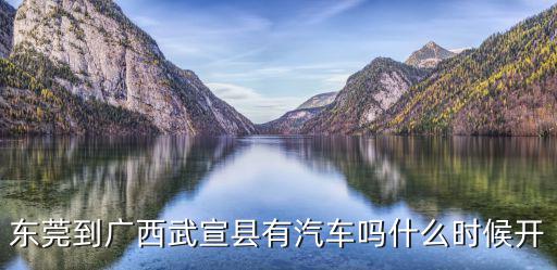 東莞到廣西武宣縣有汽車嗎什么時候開