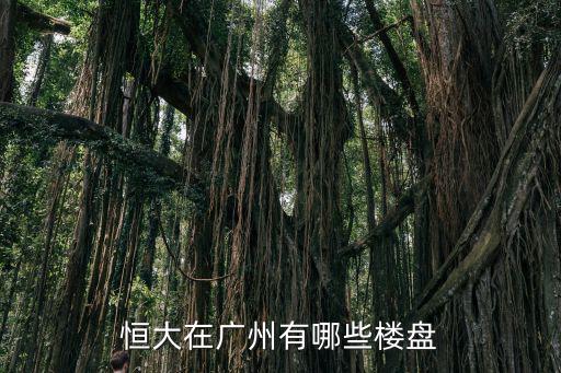恒大在廣州有哪些樓盤