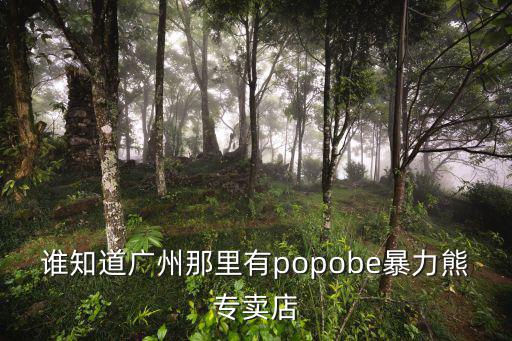 誰知道廣州那里有popobe暴力熊專賣店