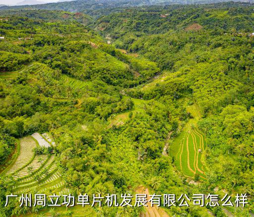 廣州周立功單片機發(fā)展有限公司怎么樣
