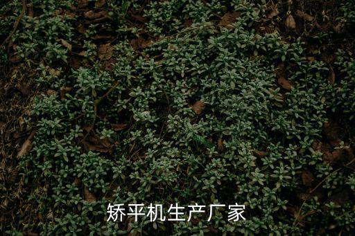 矯平機生產廠家