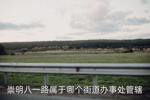 崇明八一路屬于哪個街道辦事處管轄