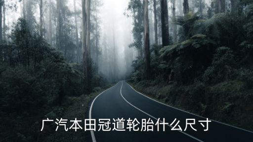 廣汽本田冠道輪胎什么尺寸
