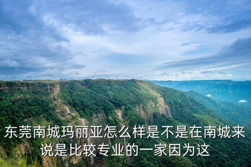東莞南城瑪麗亞怎么樣是不是在南城來說是比較專業的一家因為這