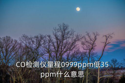CO檢測儀量程0999ppm低35ppm什么意思