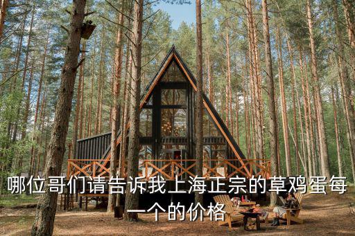 哪位哥們請告訴我上海正宗的草雞蛋每一個的價格