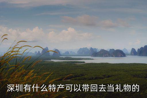 深圳有什么特產可以帶回去當禮物的