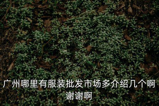 廣州哪里有服裝批發(fā)市場(chǎng)多介紹幾個(gè)啊謝謝啊