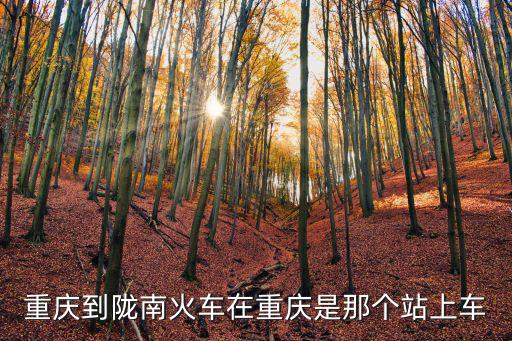 重慶市至隴南站列車時刻表，重慶到隴南火車時刻表