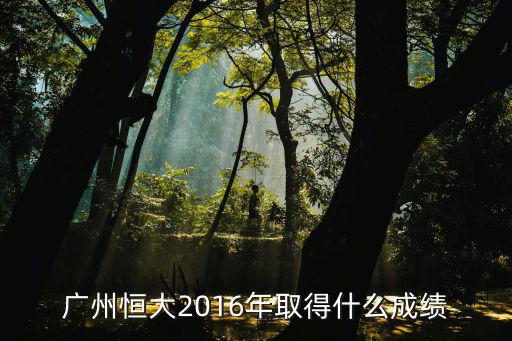 廣州恒大2016年取得什么成績