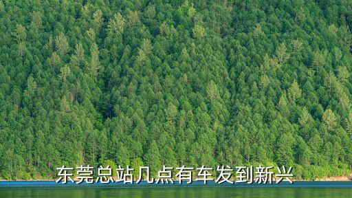 東莞總站幾點(diǎn)有車發(fā)到新興