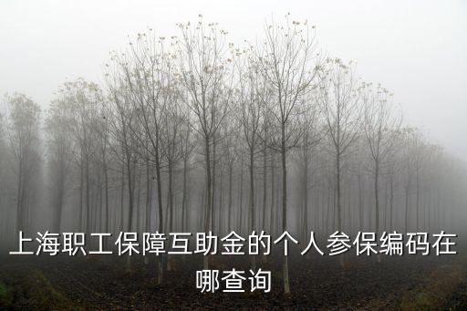 上海職工保障互助金的個人參保編碼在哪查詢