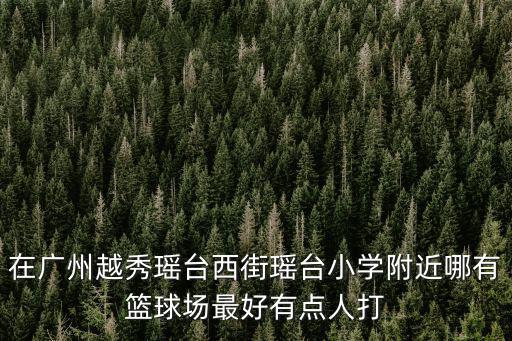 在廣州越秀瑤臺西街瑤臺小學附近哪有籃球場最好有點人打