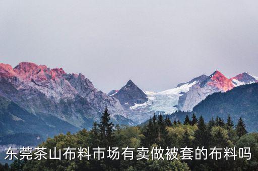 東莞茶山布料市場有賣做被套的布料嗎