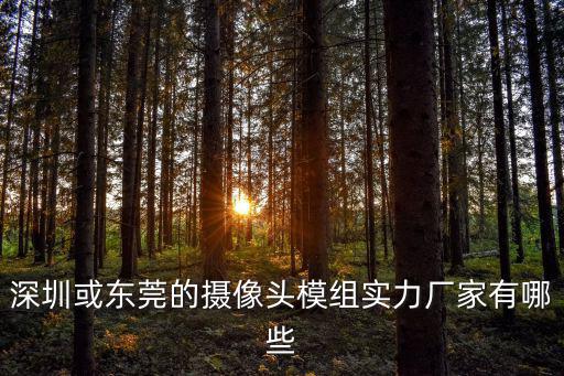 深圳或東莞的攝像頭模組實力廠家有哪些