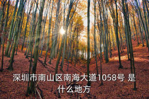 深圳市南山區(qū)南海大道1058號 是什么地方