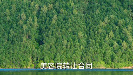 美容院轉(zhuǎn)讓合同