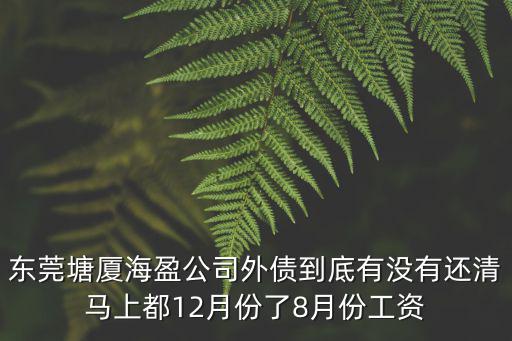 東莞塘廈海盈公司外債到底有沒有還清馬上都12月份了8月份工資