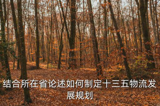 結(jié)合所在省論述如何制定十三五物流發(fā)展規(guī)劃