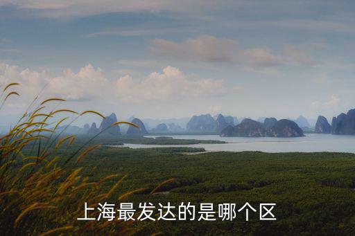 上海市最富的區，上海哪個區最富有