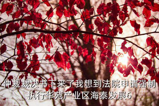 仲裁裁決書下來了我想到法院申請強制執(zhí)行華苑產(chǎn)業(yè)區(qū)海泰發(fā)展6