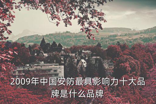 2009年中國安防最具影響力十大品牌是什么品牌