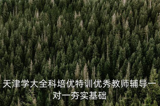 天津學大全科培優特訓優秀教師輔導一對一夯實基礎