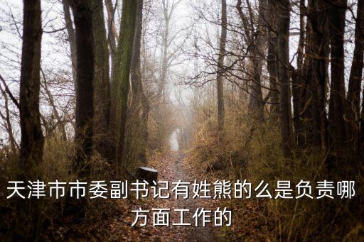天津市市委副書記有姓熊的么是負(fù)責(zé)哪方面工作的