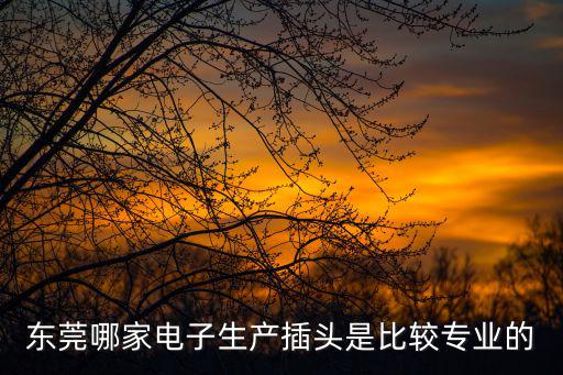東莞哪家電子生產(chǎn)插頭是比較專業(yè)的